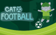 Cat Football Cat Football img