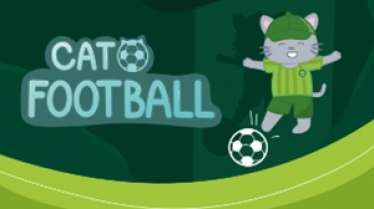 Cat Football Cat Football img
