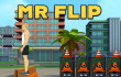 Mr Flip img