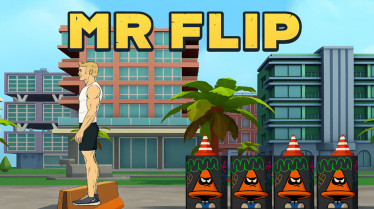 Mr Flip img