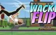 Wacky Flip Wacky Flip img